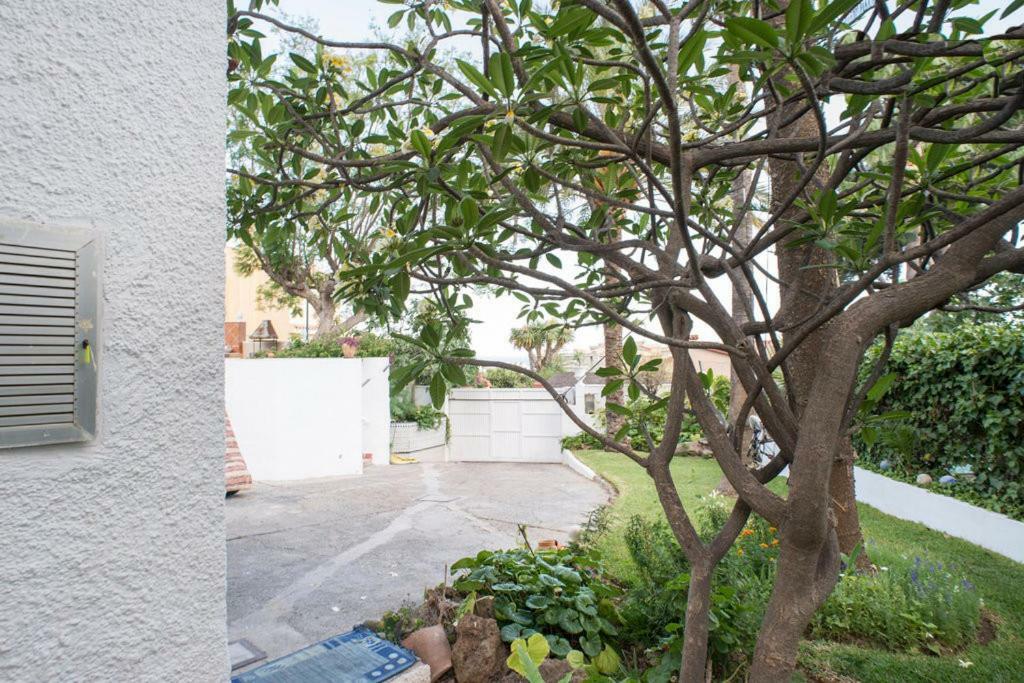Habitacion Doble En Villa Málaga Dış mekan fotoğraf